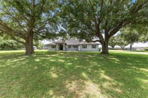 6894 89TH STREET, OCALA, FL 34472 - MLS#MFROM726010