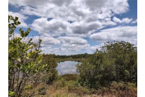 16885 71ST STREET, OCKLAWAHA, FL 32179 - MLS#MFROM726205