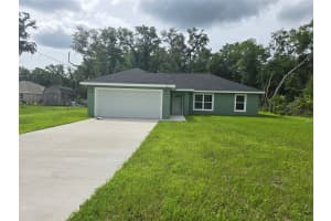 30 SEQUOIA DRIVE TRACE, OCKLAWAHA, FL 32179 - MLS#MFROM726232