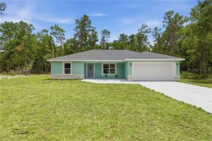 10 Bay Ln, OCKLAWAHA 10 Bay Ln, OCKLAWAHA