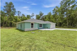 10 BAY LANE, OCKLAWAHA, FL 32179 - MLS#MFROM726558