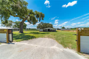 1231 102ND BOULEVARD, WILDWOOD, FL 34785 - MLS#MFROM726983