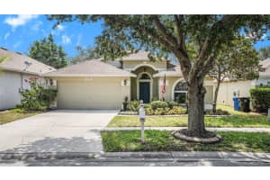 1346 DRAGON HEAD DR, VALRICO, FL 33594 Sold 09/02/22