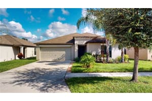 12617 LEMON PEPPER DR, RIVERVIEW, FL 33578 Sold 06/08/23