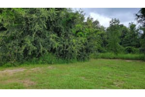 6641 WYNN LN, GROVELAND, FL 34736 - MLS#MFRP4922810