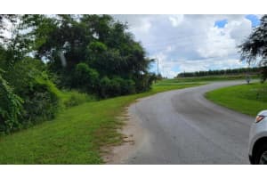 6641 WYNN LN, GROVELAND, FL 34736 - MLS#MFRP4922810