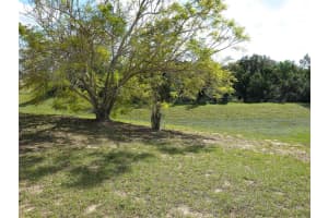 321 MERIDIAN ST, DAVENPORT, FL 33837 Sold 06/02/23