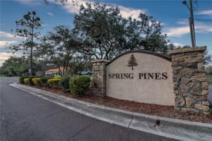 6 PINE FOREST DRIVE, HAINES CITY, FL 33844 Sold 05/26/23