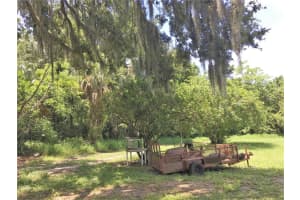 323 DORSETT AVENUE, LAKE WALES, FL 33853 - MLS#MFRP4924440