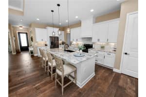 248 CALADIUM AVENUE, LAKE ALFRED, FL 33850 Sold 07/25/24
