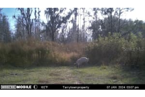 14905 CR 757, WEBSTER, FL 33597 Sold 05/16/25