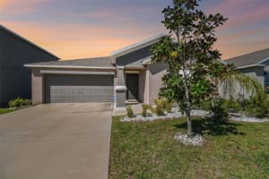 1810 BROAD WINGED HAWK DRIVE, RUSKIN, FL 33570 Sold 05/13/24
