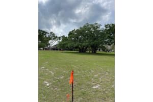 286 RAMONA AVENUE, LAKE ALFRED, FL 33850 Sold 11/12/24