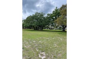 286 RAMONA AVENUE, LAKE ALFRED, FL 33850 Sold 11/12/24