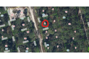 213 IMAGINATION DRIVE, LAKE PLACID, FL 33852 - MLS#MFRP4930155