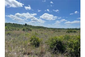HWY 40, DUNNELLON, FL 34430 - MLS#MFRP4930255