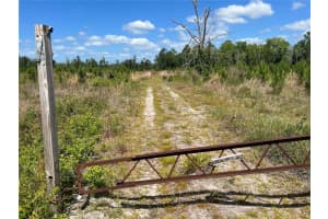 HWY 40, DUNNELLON, FL 34430 - MLS#MFRP4930255