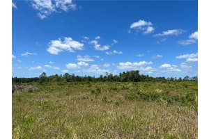 HWY 40, DUNNELLON, FL 34430 - MLS#MFRP4930255