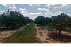LAKE BELLA RD, LAKE WALES, FL 33859 - MLS#MFRP4930438
