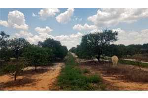 LAKE BELLA RD, LAKE WALES, FL 33859 - MLS#MFRP4930438