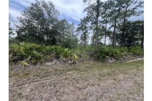 901 LAGUNA DRIVE, INDIAN LAKE ESTATES, FL 33855 Sold 03/11/25