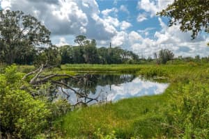 607 NORTH BOULEVARD, DAVENPORT, FL 33837 Sold 11/15/24