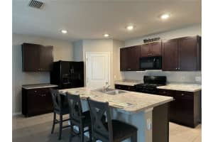 9737 PEPPER TREE PLACE, WILDWOOD, FL 34785 Sold 03/28/25