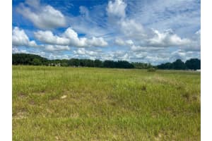INDIGO RD, GROVELAND, FL 34736 Sold 01/31/25