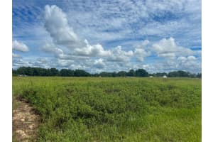 INDIGO RD, GROVELAND, FL 34736 Sold 01/31/25