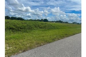 INDIGO RD, GROVELAND, FL 34736 Sold 01/31/25