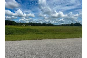 INDIGO RD, GROVELAND, FL 34736 Sold 01/31/25