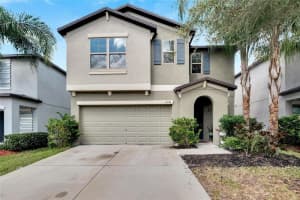 12730 Lemon Pepper Dr, RIVERVIEW