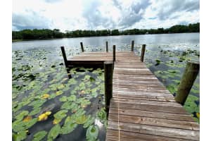 313 RILEY LAKE DRIVE, HAWTHORNE, FL 32640 Sold 04/04/25