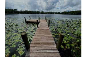 313 RILEY LAKE DRIVE, HAWTHORNE, FL 32640 Sold 04/04/25