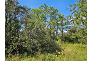 7105 ORCHID PLACE, SEBRING, FL 33875 - MLS#MFRP4932383