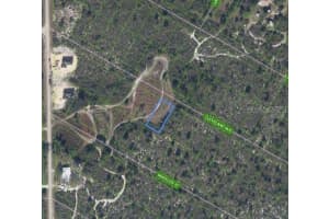 1033 CLEVELAND AVENUE, LAKE PLACID, FL 33852 - MLS#MFRP4932386