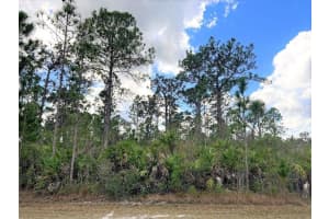ORLANDO DR, INDIAN LAKE ESTATES, FL 33855 - MLS#MFRP4932456