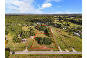 19261 NW HIGHWAY 335, WILLISTON, FL 32696 Sold 12/16/24