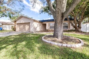 4915 OAKSHIRE DRIVE, TAMPA, FL 33625 Sold 12/16/24