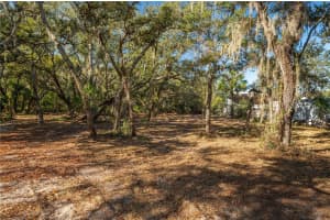 CAPPS RD, LAKE WALES, FL 33898 - MLS#MFRP4933020