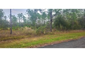 408 PANDORA DRIVE, INDIAN LAKE ESTATES, FL 33855 - MLS#MFRP4933025