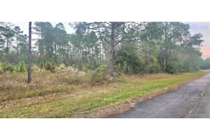 408 PANDORA DRIVE, INDIAN LAKE ESTATES, FL 33855 - MLS#MFRP4933025