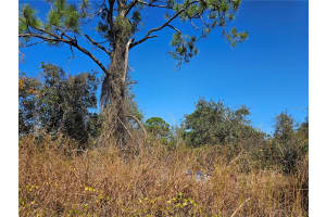406 HOLLOW LANE, LAKE PLACID, FL 33852 - MLS#MFRP4933052