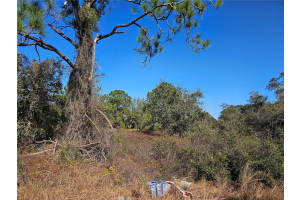 406 HOLLOW LANE, LAKE PLACID, FL 33852 - MLS#MFRP4933052
