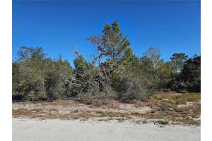 560 MORNINGSIDE DRIVE, LAKE PLACID, FL 33852 - MLS#MFRP4933053