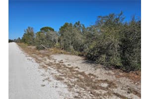 560 MORNINGSIDE DRIVE, LAKE PLACID, FL 33852 - MLS#MFRP4933053