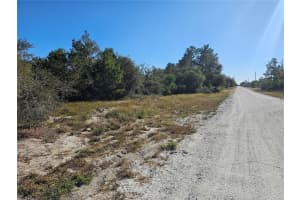 560 MORNINGSIDE DRIVE, LAKE PLACID, FL 33852 - MLS#MFRP4933053