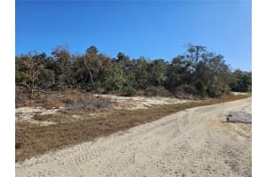 680 MORNINGSIDE DRIVE, LAKE PLACID, FL 33852 - MLS#MFRP4933054