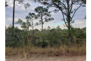 602 BOTTLEBRUSH AVENUE, LAKE PLACID, FL 33852 Sold 05/23/25