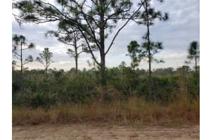 602 BOTTLEBRUSH AVENUE, LAKE PLACID, FL 33852 Sold 05/23/25